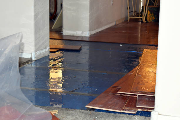 Professional Basement Flooding technician working in Clermont, IN